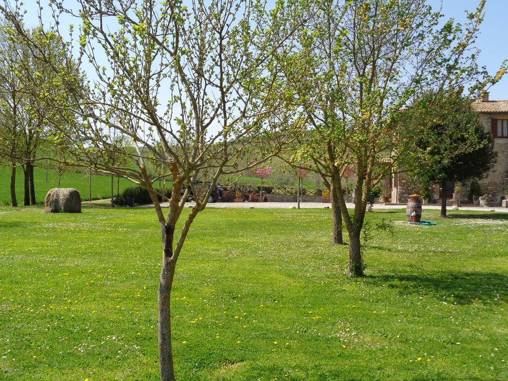 La Locanda Dell'Olmo Orvieto Exterior foto